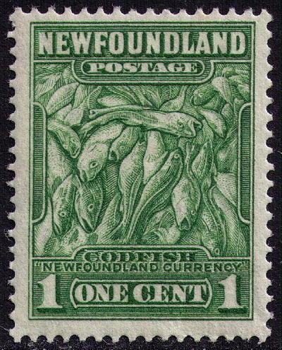 Newfoundland # 183ii Mint VF NH perf 13.2 Cat $ 22.50