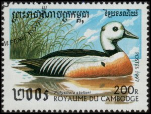 Cambodia 1611 - Cto - 200r  Stellar's Eider (1997)