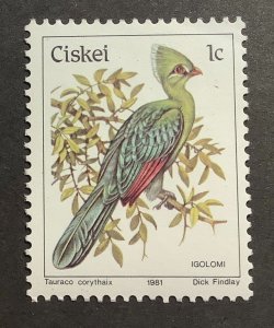 Ciskey 1981 Scott 5 MNH - 1c, bird, Knysna Turaco