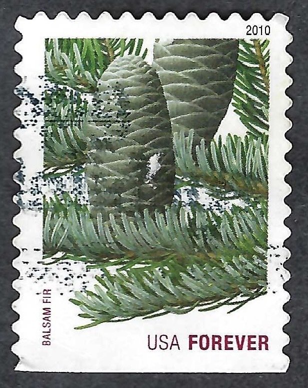 United States #4480 Forever (44¢) Balsam Fir (2010). Booklet single. Used.