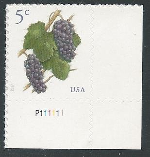 US #5177, Pinot Noir Grapes, MNH*-