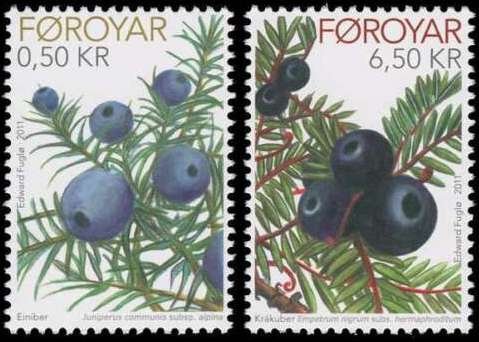 Faroe Islands 2011 #564-5 MNH. Blueberries