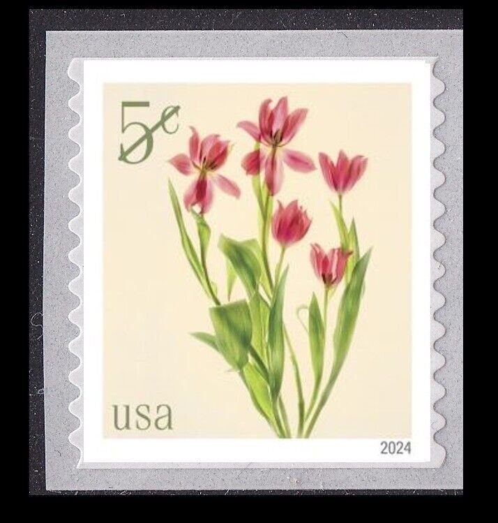US Flowers Red Tulips 5c coil single MNH 2024 after 7/31