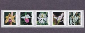 PNC5 55c Wild Orchids B1111 US 5435-5444, 5444a MNH Plate Number Middle Stamp