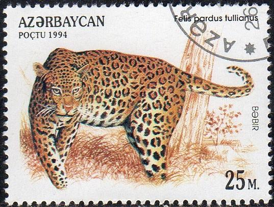 Azerbaijan 467 - Cto - 25m Anatolian Leopard (1994) (cv $0.60) (1)