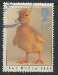 Great Britain SG 1481  Used   - RSPCA Animals 