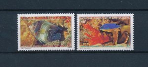 [49245] New Caledonia 1988 Marine life fish corals  MNH