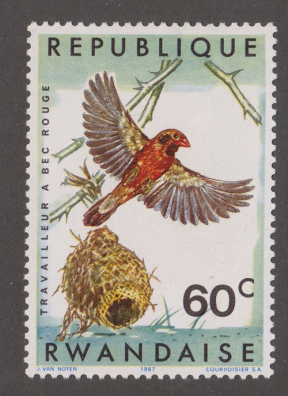 Rwanda 241 Red - Billed Quelea 1967