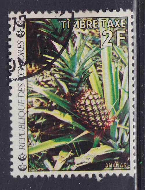 Comoro Islands J7 Flowers 1977