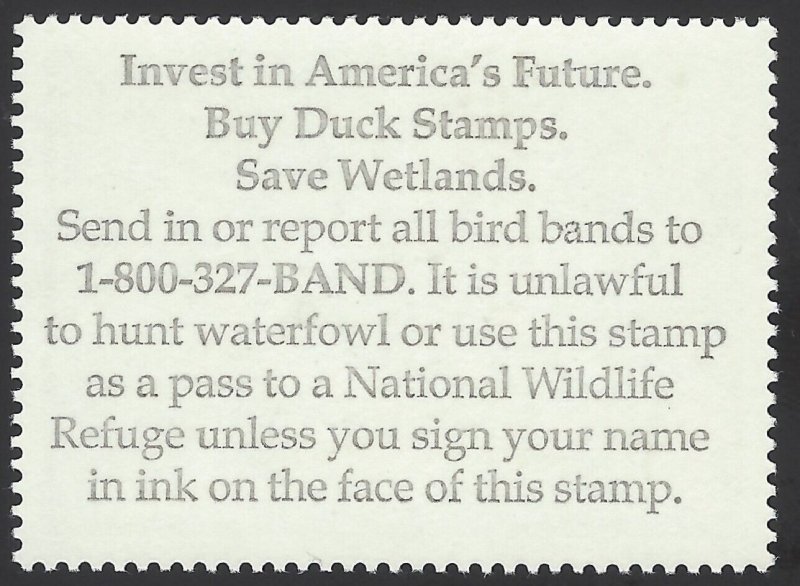 US Scott #RW75 MNH OG XF, 2008 - US Federal Duck Stamp - **WELL CENTERED**