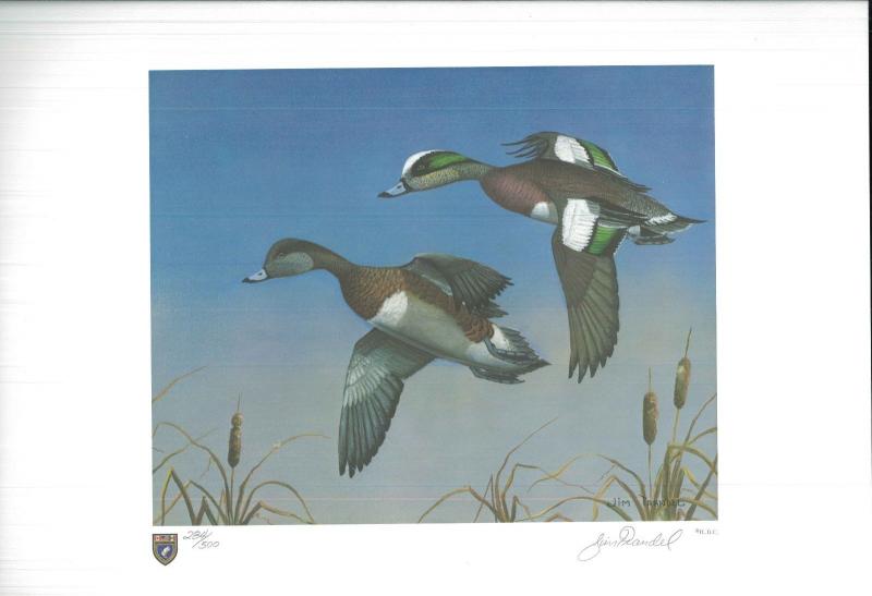 ILLINOIS #7 1981 STATE DUCK STAMP PRINT WIDGEON/GREEN WINGED TEAL by Jim Trandel