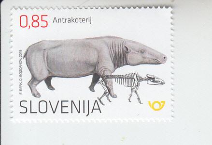 2019 Slovenia Antheacothere Oligocene Mammal (Scott 1325) MNH