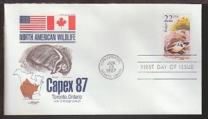 US Badger 1987 Artmaster U/A FDC BIN 19633