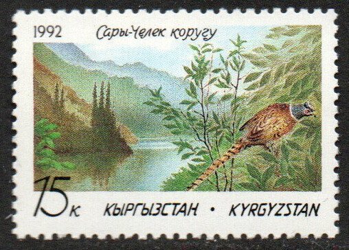 Kyrgyzstan Sc #1 MNH