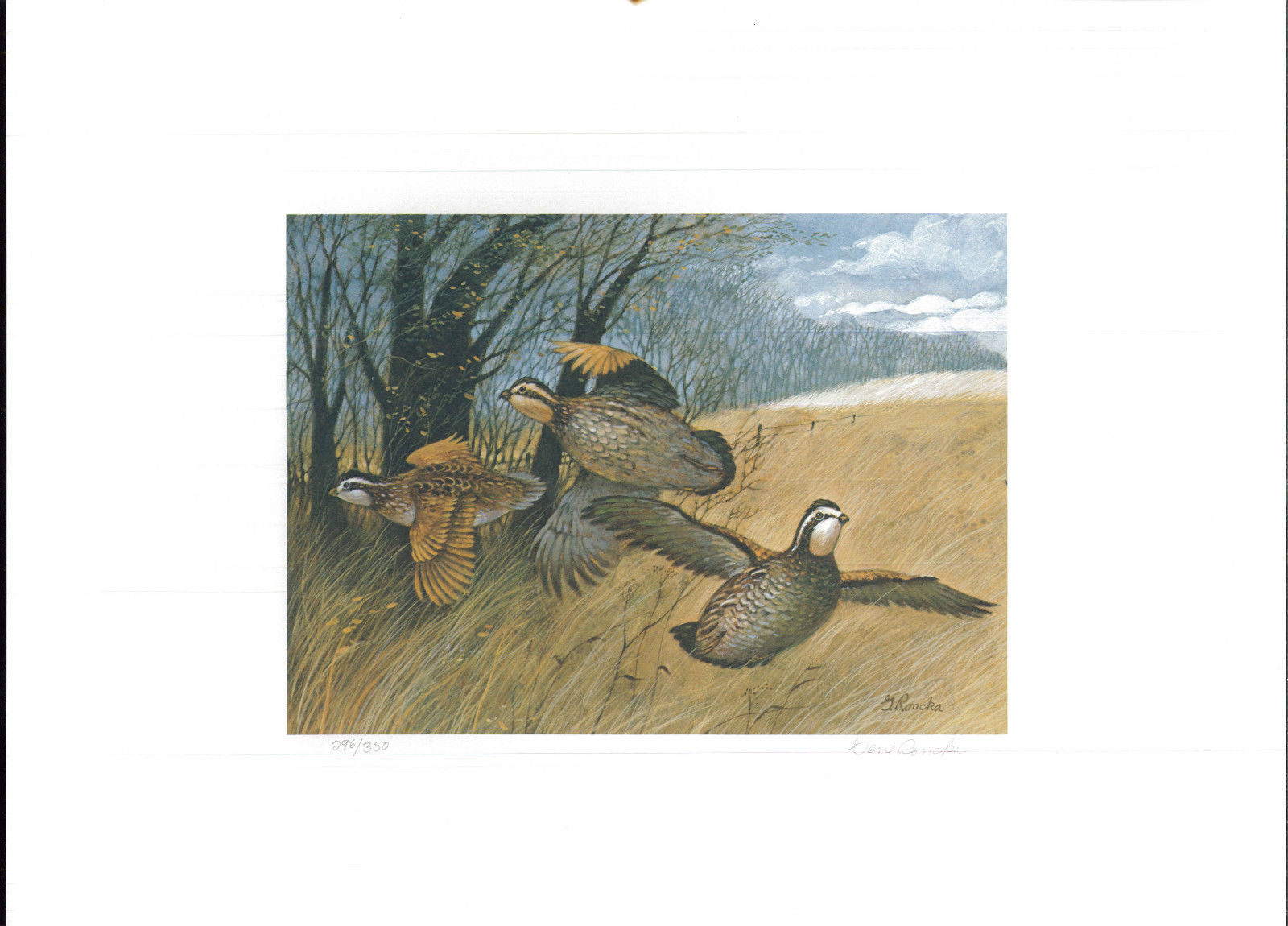 Nebraska 1979 State Habitat Stamp Print by Gene Roncka United States