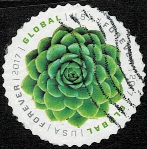 USA 2017 Succulents Used