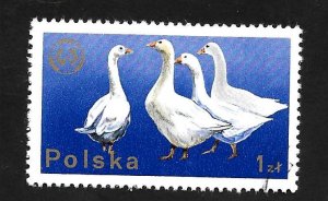 Poland 1975 - U - Scott #2098