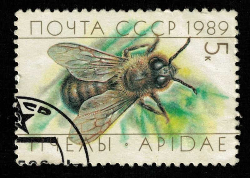 Honeybee 5Kop (TS-2120)