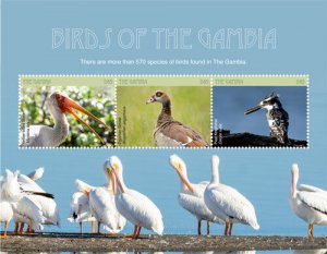 Gambia 2018 - Birds of The Gambia, Stork, Goose, Kingfisher - Sheet of 3v - MNH