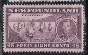Newfoundland 243