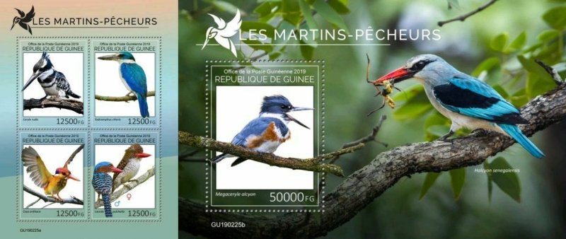 Z08 IMPERF GU190225ab GUINEA (Guinee) 2019 Kingfishers MNH ** Postfrisch