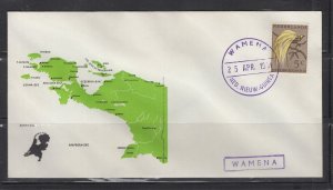 Netherlands New Guinea cover postmark WAMENA 1961  (#23)