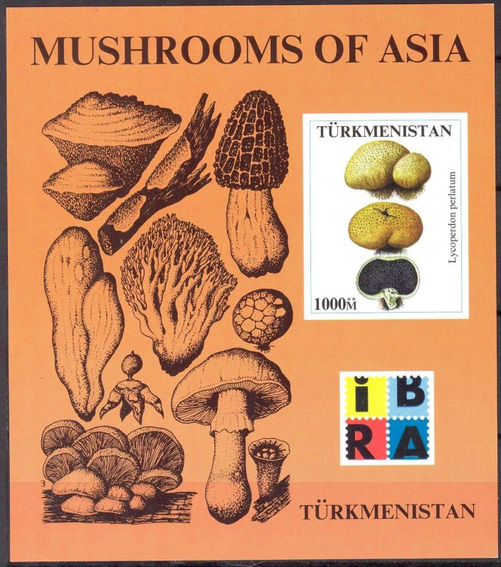 Turkmenistan IBRA Mushrooms S/S MNH Cinderella !