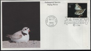 US    3105n     FDC   PIPING PLOVER, MYSTIC,   CACHET,