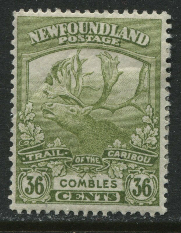 Newfoundland 1919 Trail of the Caribou 36 cents mint o.g. hinged 