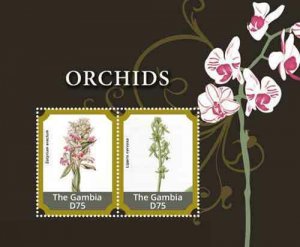 Gambia 2015 - flowers, orchids - Souvenir Sheets  - MNH