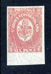 Newfoundland 1862. 6d rose lake. MH. SG20.