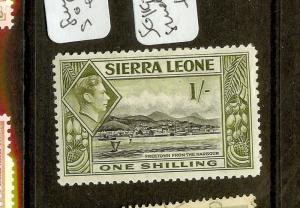 SIERRA LEONE  (P0508B) KGVI 1/-  SG196  MOG