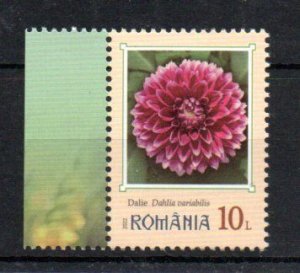 ROMANIA - 2022 - FLOWERS - DAHLIA VARIABILIS - 10L -