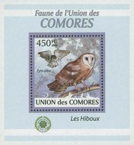 Owls Bird Stamp Tyto Alba Birds Fly Mini Sov. Sheet MNH