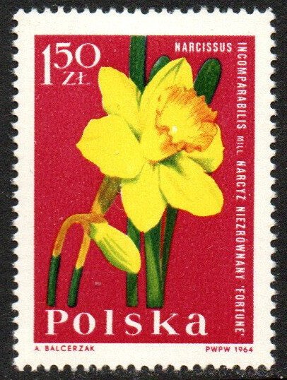 Poland Sc #1286 Mint Hinged