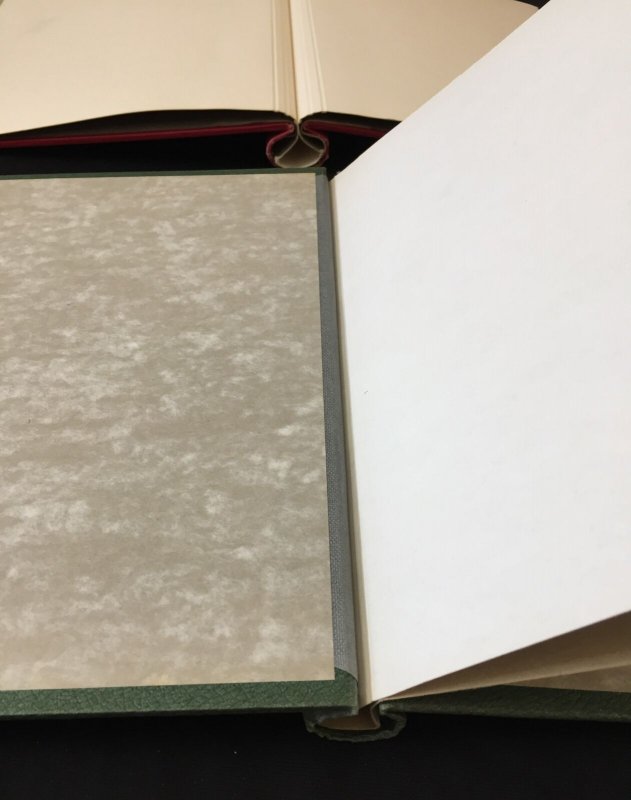 SPRINGBACK Binders x 13 Senator Gibbons Tower .8kg(K706)