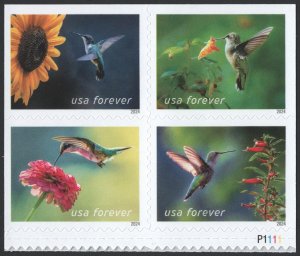 NEW ISSUE (Forever) Garden Delights Booklet Block of Four (2024) SA