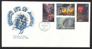 Jamaica Sc# 495-498 FDC 1981 Marine Life