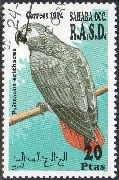 Western Sahara (Unlisted) - Cto - 20pt Grey Parrot (1994)