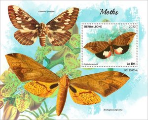 SIERRA LEONE - 2023 - Moths - Perf Souv Sheet - Mint Never Hinged