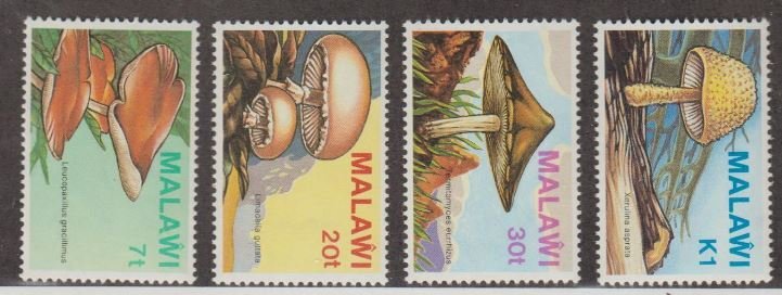 Malawi Scott #458-461 Stamps - Mint NH Set