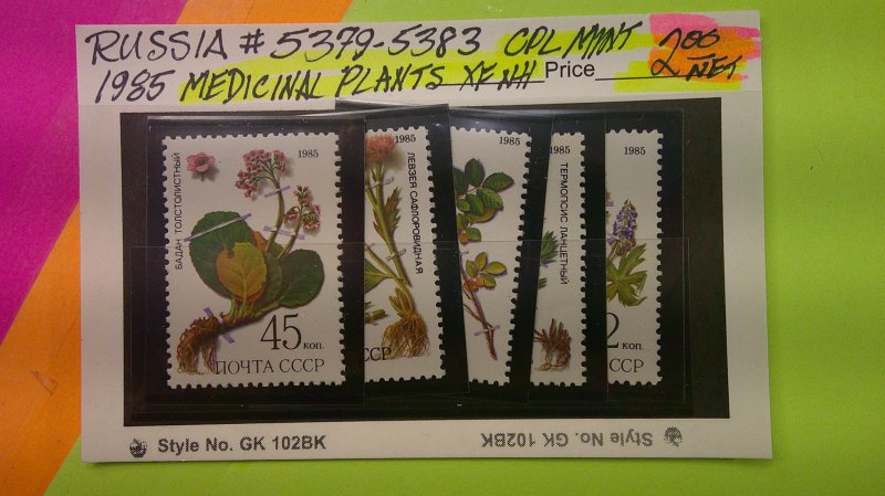 Russia 1985 Medicinal Plants Scott# 5379-5383 Mint XF NH CPL set of 5