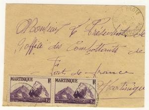 MARTINIQUE - 1948 - CACHET À DATE RIVIÈRE PILOTE SUR N°231 (x2) (SUR FRAGMENT)