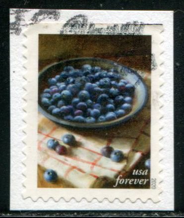 5488 US (55c) Fruits & Vegetables - Blueberries SA bklt, used on paper