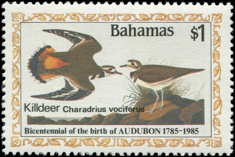 Bahamas 1985 Sc 576-579 Birds Dove Killdeer CV $10.85