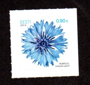 ESTONIA - 2021 - FLOWERS - RUKKILILL -