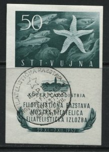 Yugoslavia Trieste souvenir sheet used