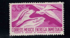 MEXICO Scott E16 MNH**1962 Special Delivery