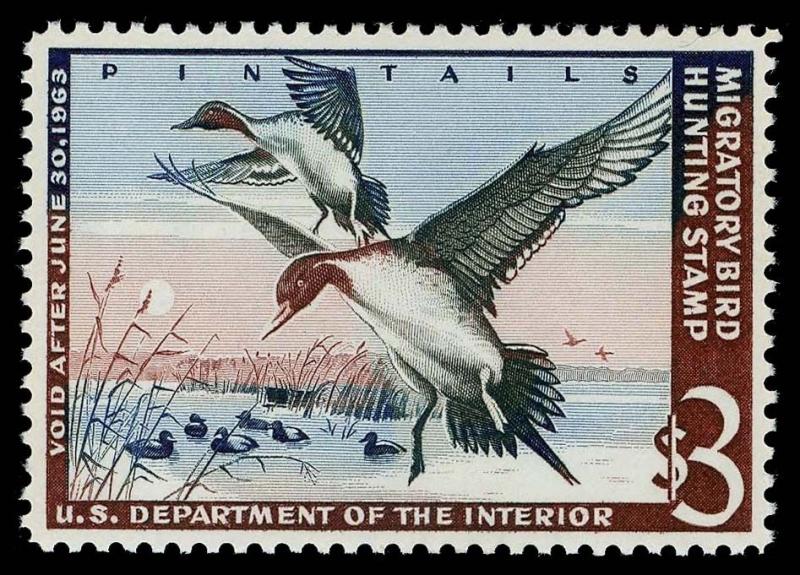 U.S. REV. DUCKS RW29  Mint (ID # 81442)