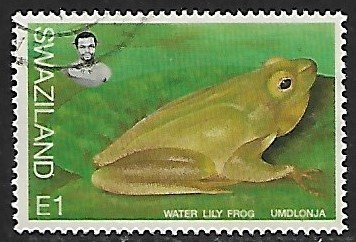 Swaziland # 678 - Water Lily Frog - used....{BRN17}